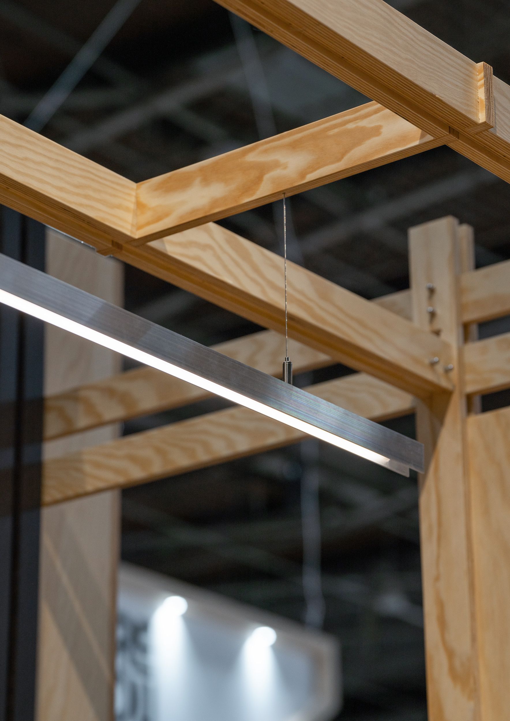 Archival Studies_Rockfon_Paris expo 36