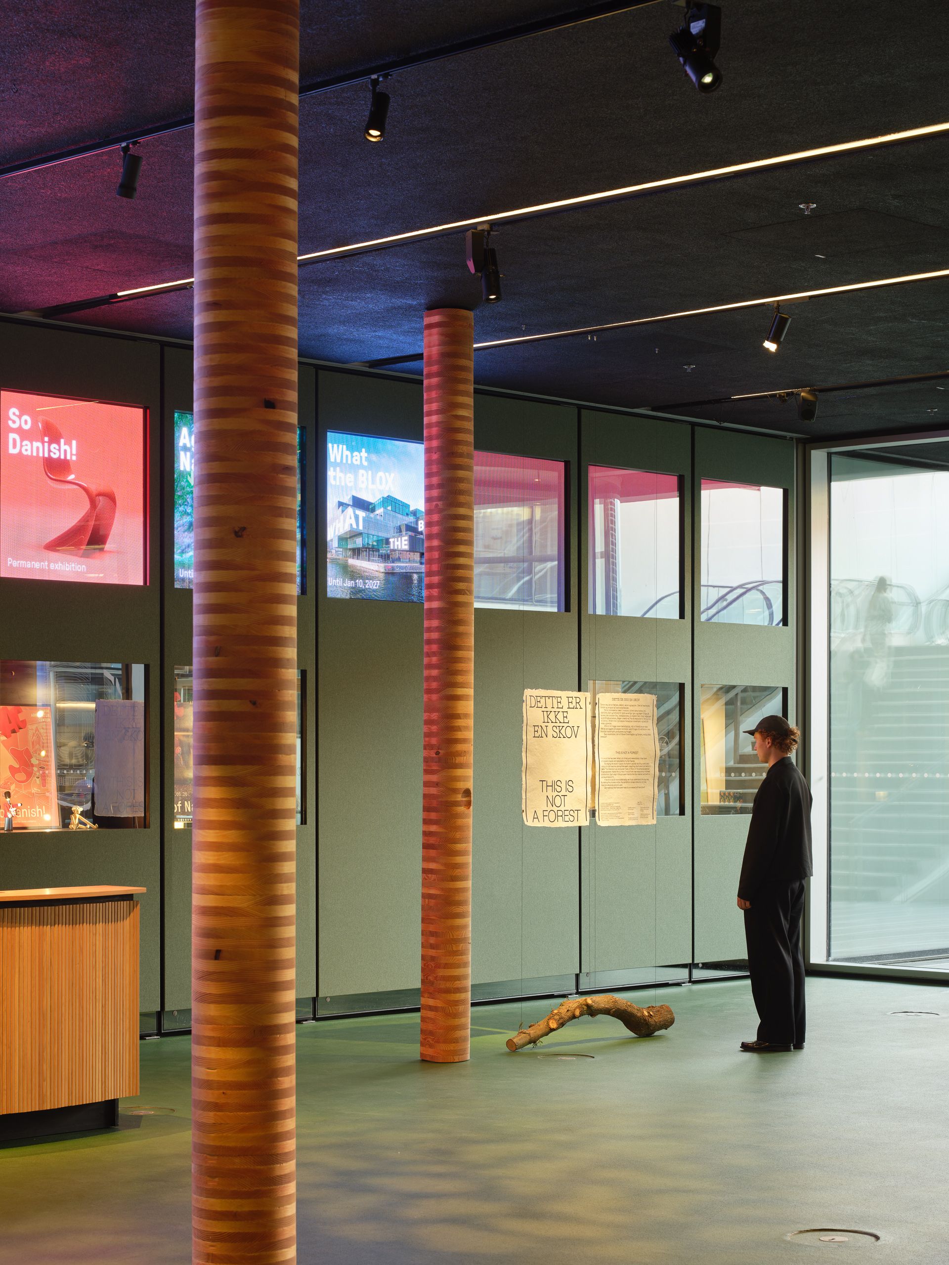 Danish_Architecture_Center_Archival_This_is_not_a_forest_11
